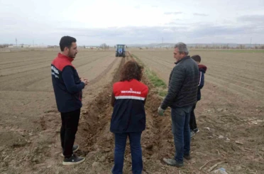 Patates ekimi sezonu başladı 
