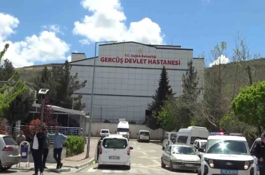 Piknikte akrep sokan kadın hastanelik oldu 