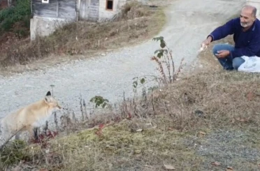 Pimbilona Yaylası’nda sıra dışı dostluk 
