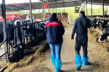 Pınarhisar’da ari hayvan işletmelerindeki çalışmalar incelendi