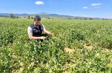 Planlı tarımsal üretim için saha çalışmaları sürüyor 