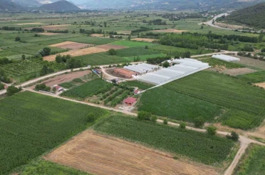 Prof. Dr. Gerçekçioğlu: "Kış bahar oldu; dona dayanan meyve türleri araştırılmalı" 