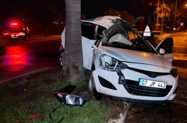Refüjdeki palmiyeye çarpan otomobilin sürücüsü yaralandı 