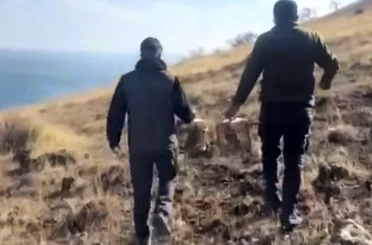 Rehabilite edilen keklikler yeniden doğayla buluştu 