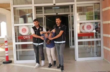 Rezidansta iklimlendirme sistemi kurarak uyuşturucu yetiştiren şüpheli tutuklandı 