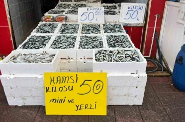 Rize’de hamsinin fiyatı sevenlerinin yüzünü güldürüyor 