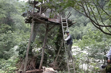 Rize’de karakovan balı Anzer Balı’nı solladı 