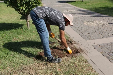 Roma döneminden esinlenildi: Diyarbakır Müzesinde ’Sütunlu Yol’ dönemi başlıyor 
