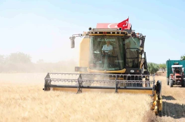 Şahinbey’de çiftçiler buğday hasadından memnun 