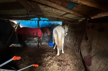 Sakarya’da otoyol kenarındaki kemikler jandarmayı at kasaplarına götürdü 