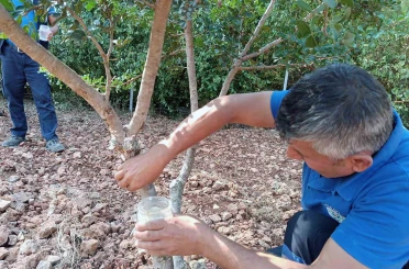 Sakız’dan farklı ürünler üretilmeye başlandı 