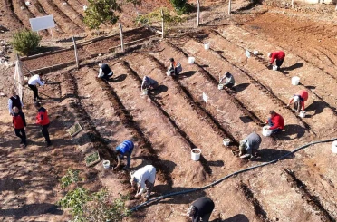 Salep toprakla buluşturuldu 