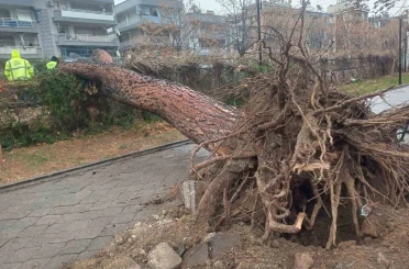 Salihli’yi fırtına vurdu, ağaçlar devrildi, çatılar uçtu 