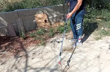 Samandağ’da yerleşim yerinde görülen yılan yakalanarak doğaya bırakıldı