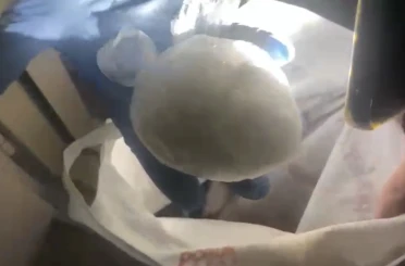 Samsun’da 183,8 gram uyuşturucu ele geçirildi 