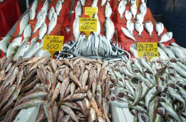 Samsun’da balık fiyatlarında son durum 