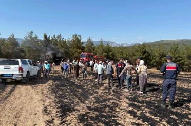 Samsun’da biçerdöverden çıkan yangın 150 dönüm ekili alanı küle çevirdi 