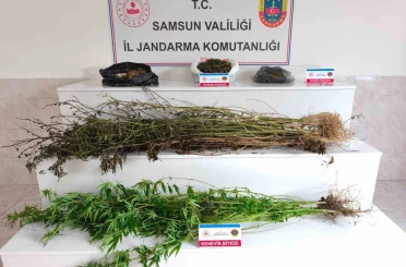 Samsun’da jandarma 2 kilo 355 gram esrar ele geçirdi: 2 gözaltı 