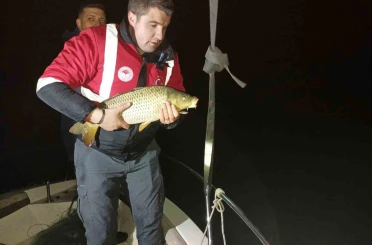 Samsun’da kaçak avcılığa geçit yok: 60 kiloluk sazan geri salındı 