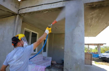 Samsun’da kahverengi kokarcaya karşı kışlak seferberliği 