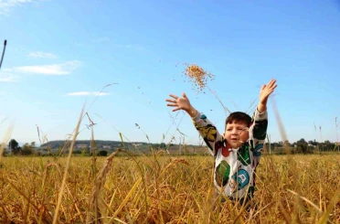 Samsun’da tarımsal üretime 6 milyara yakın destek ödemesi yapıldı 