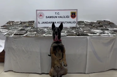 Samsun’da tıra gizlenmiş 132 kilo toz esrar ele geçirildi 