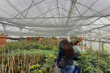 Samsun’da üreticiler modern tarımı yerinde öğreniyor
