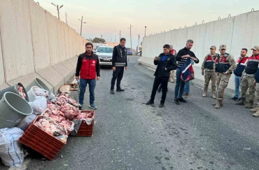 Şanlıurfa’da 1 ton kaçak et ele geçirildi 