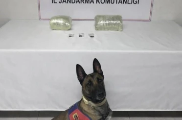 Şanlıurfa’da 2 kilo kubar esrar ele geçirildi: 1 gözaltı 