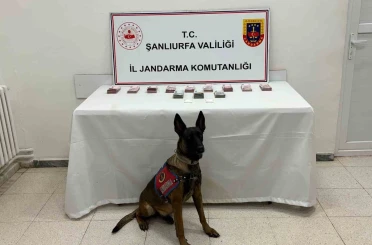 Şanlıurfa’da 210 bin TL ile uyuşturucu madde ele geçirildi 