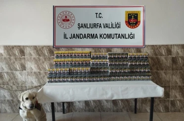 Şanlıurfa’da 420 paket gümrük kaçağı sigara ele geçirildi 