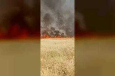 Şanlıurfa’da 45 dönüm buğday ekili alan yandı 