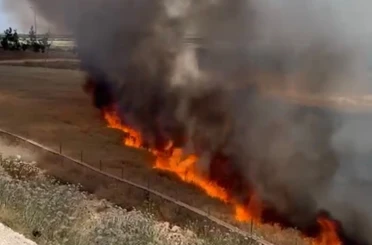 Şanlıurfa’da arpa ekili arazide çıkan yangında 30 dönüm alan zarar gördü 