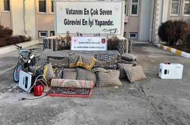 Şanlıurfa’da bağ evinde hırsızlık: 4 gözaltı 