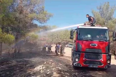 Şanlıurfa’da orman yangını