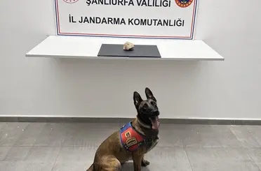 Şanlıurfa’da uyuşturucu operasyonu: 1 tutuklama
