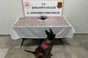 Şanlıurfa’da uyuşturucu operasyonu: 2 gözaltı