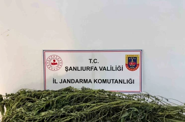 Şanlıurfa’da uyuşturucu operasyonu: 42 gözaltı 