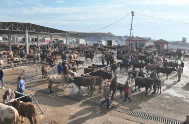 Şap tehlikesi nedeniyle kapatılmıştı, Sorgun Hayvan Pazarı 5 ay sonra yeniden açıldı 
