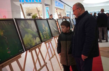 Sapanca Gölü fotoğrafları Gazze için umuda dönüştü: Geliri yetim ve öksüz çocuklara bağışlanacak 