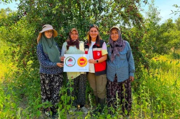Şaphane vişnesi için tescil çalışmaları sürüyor 