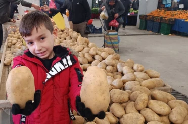 Sarıgöl pazarında dev patatesler ilgi odağı oldu 