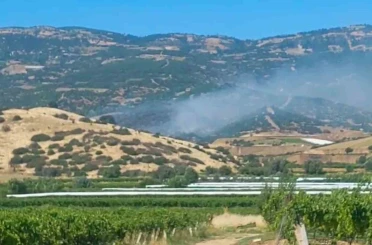 Sarıgöl’de orman yangını 