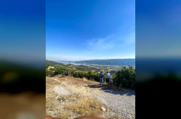Sarıgöl’deki orman yangını kontrol altına alındı 