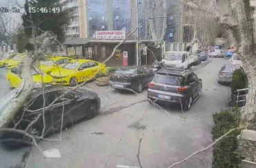 Sarıyer’de çınar ağacı otomobilin üzerine devrildi: O anlar kamerada 