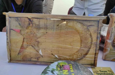 Sason’da ’ay yıldızlı’ arı kovanları yoğun ilgi görüyor 