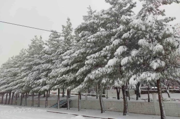 Sason’da yoğun kar yağışı hayatı olumsuz etkiliyor 