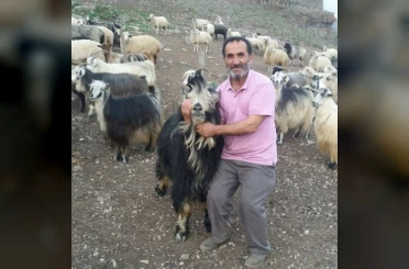 Şavşat Deresi’nde kaybolan babanın cansız bedenine ulaşıldı 