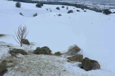 SCÜ, Yabani hayvanlar için doğaya yem bıraktı 