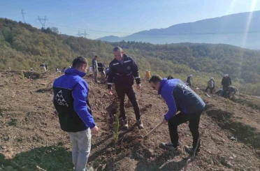 SEDAŞ, 4 ilde 500 fidanı toprakla buluşturdu 